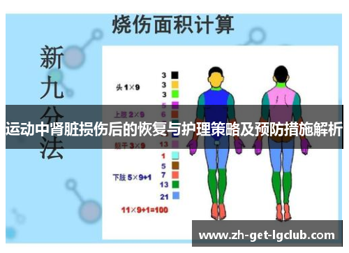 运动中肾脏损伤后的恢复与护理策略及预防措施解析