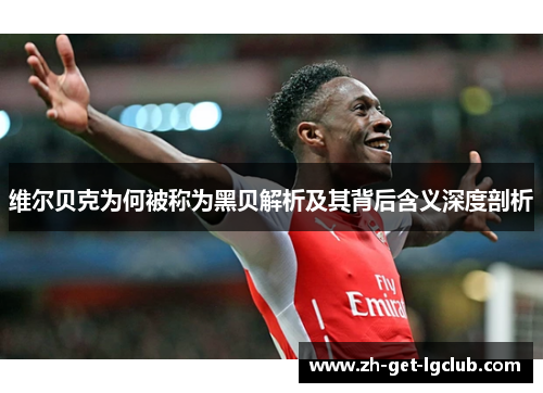 维尔贝克为何被称为黑贝解析及其背后含义深度剖析 维尔贝克为何被称为黑贝解析及其背后含义深度剖析