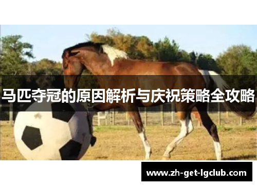马匹夺冠的原因解析与庆祝策略全攻略