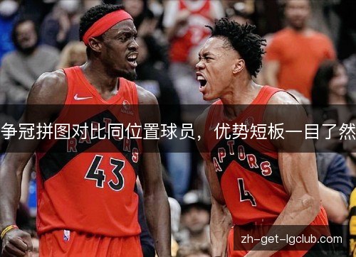争冠拼图对比同位置球员，优势短板一目了然